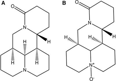 The potential therapeutic value of the natural plant compounds matrine and oxymatrine in cardiovascular diseases
